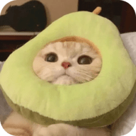 撸管视频下载官方版APP应用